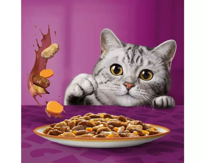 Whiskas Tasty Mix Chef's Choice Multipack in Sosse 12 x 85 g