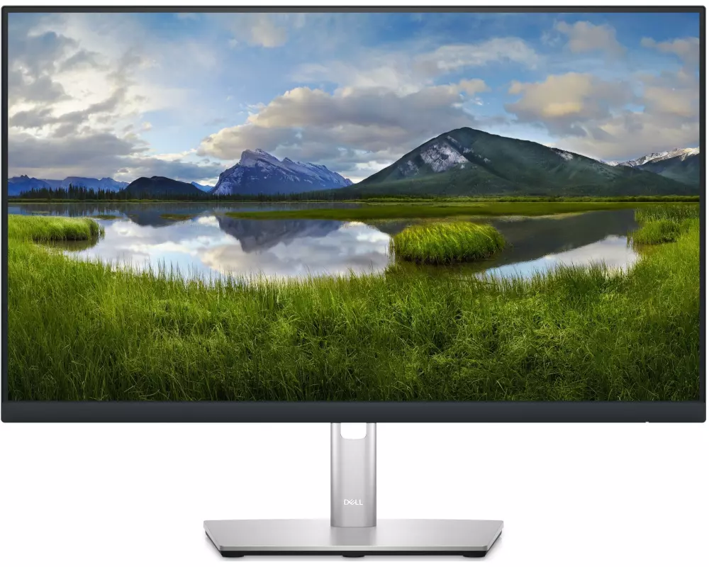 DELL Monitor P2423DE