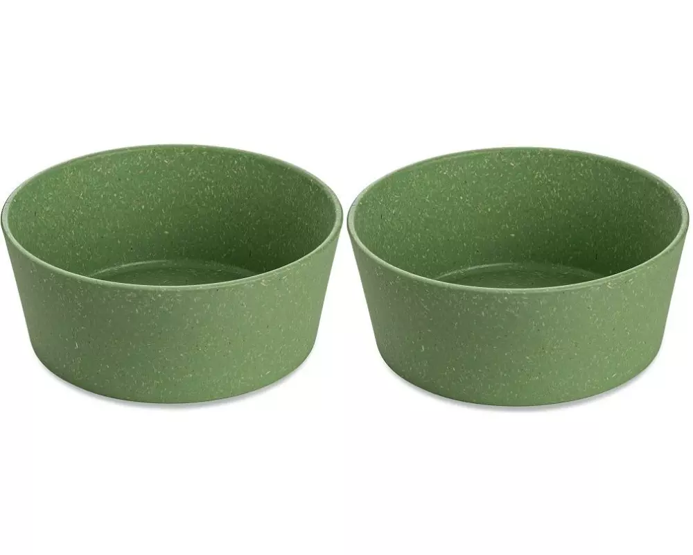 Koziol Schale Connect 12.3 cm, 2 Stück, Grün