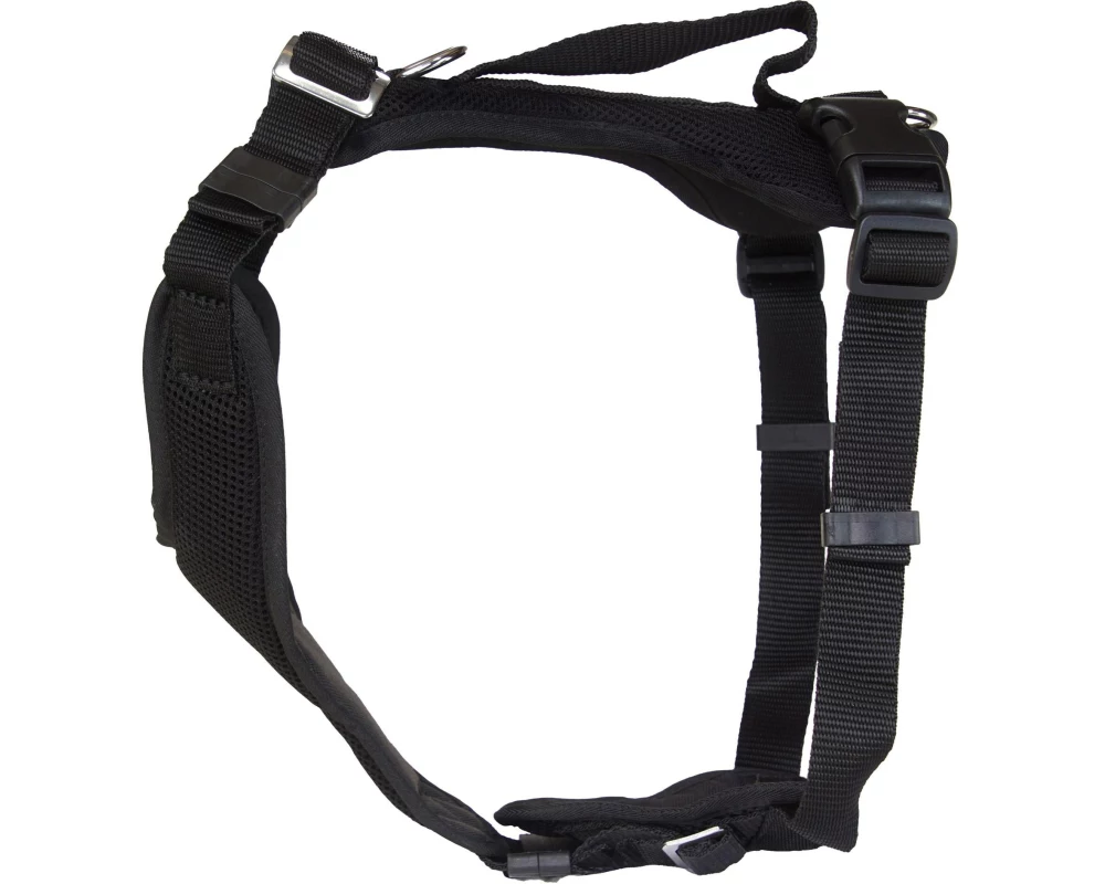 Grossenbacher Welpengeschirr Popp-it, Schwarz