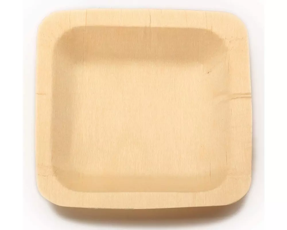 Sier Einweg-Schale 14 x 14 cm, 50 Stück