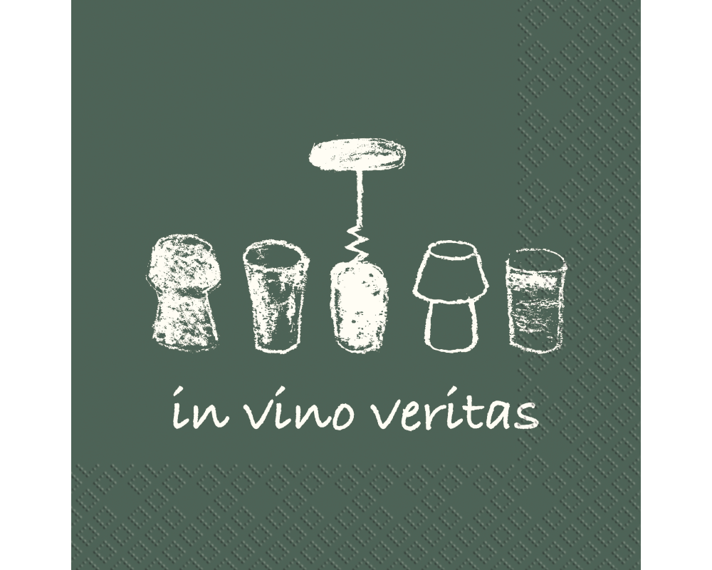 STEWO Serviette Homer 2573529047 dunkel 25x25cm