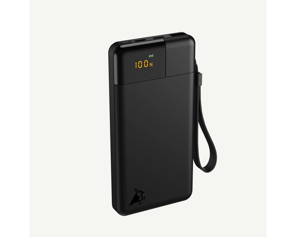 Aqiila Powerbank Powerbird B10, 20W, Schwarz, 10.000 mAh