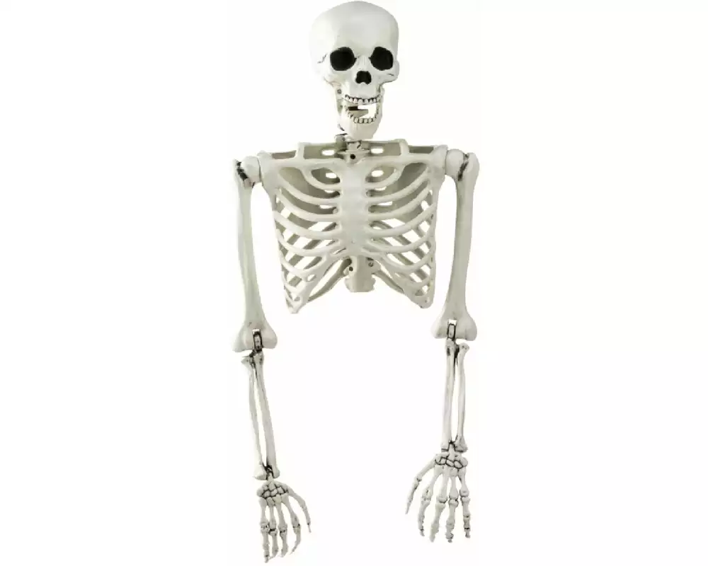 Dekomat AG Halloweenfigur Skelett Torso 1 Stück