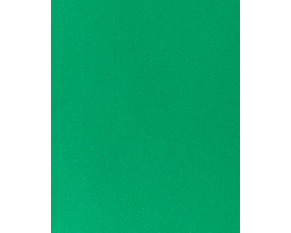 I AM CREATIVE Fotokarton 50x70cm 2902498327 300g, tannengrün