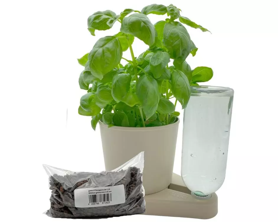 Greevi Kräuterheld und Pflanzgranulat Bundle Beige