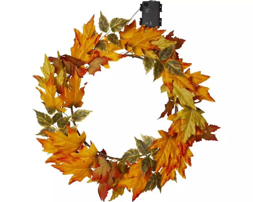 Star Trading Lichterkette Herbstkranz, 30 LEDs, Ø 45 cm,