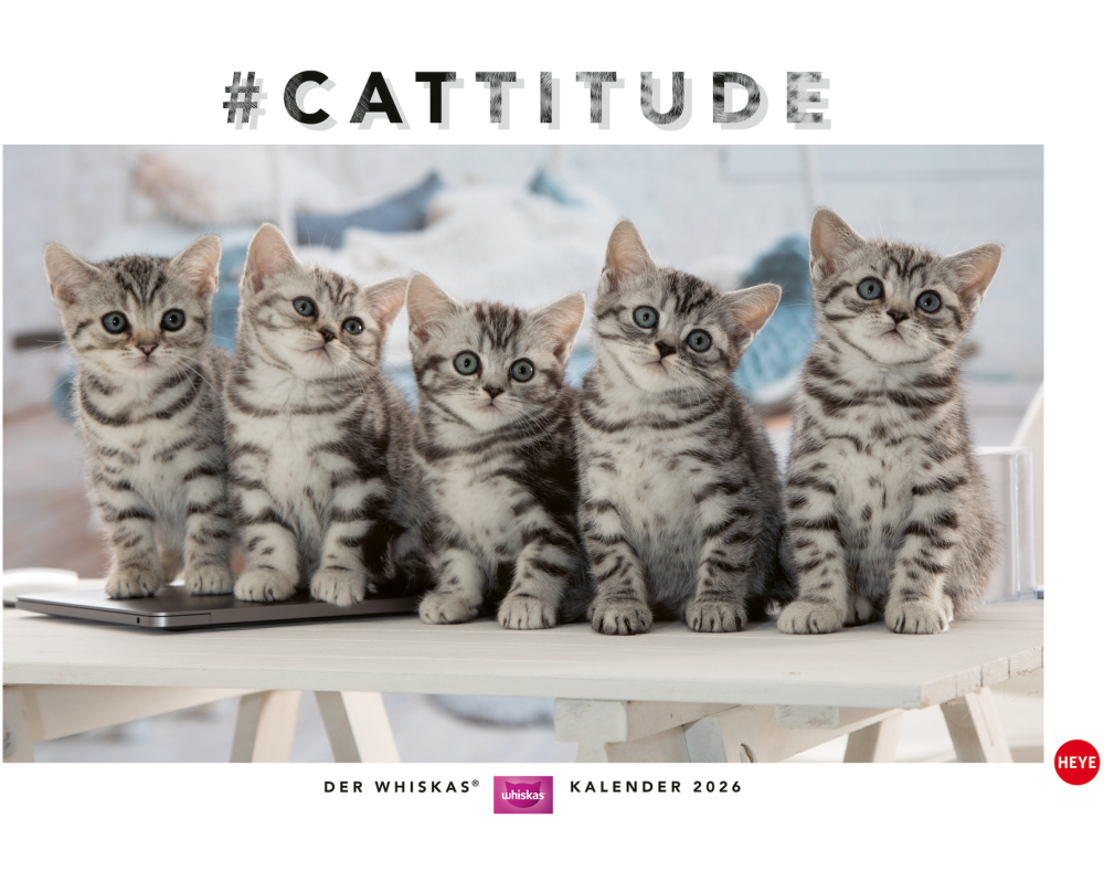 HEYE Bildkalender 2026 1130+26 Whiskas Katzen DE 45x30cm