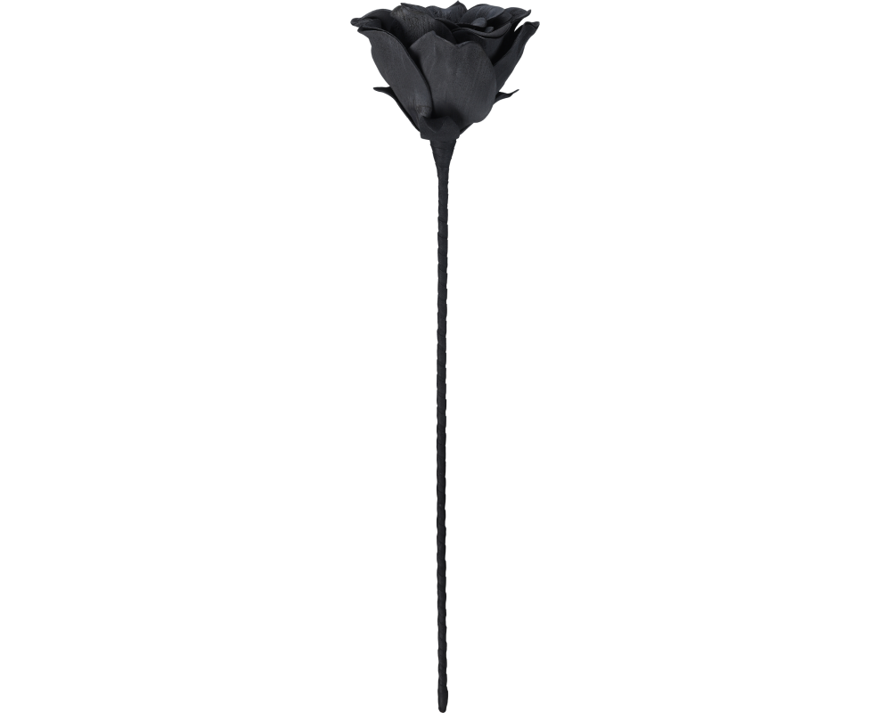 EGLO Kunstblume MOLAVE 428131 schwarz