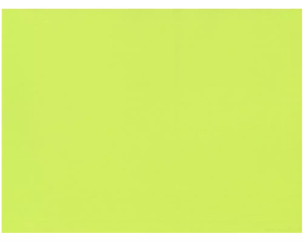 Papstar Tischset 30 cm x 40 cm, Grün