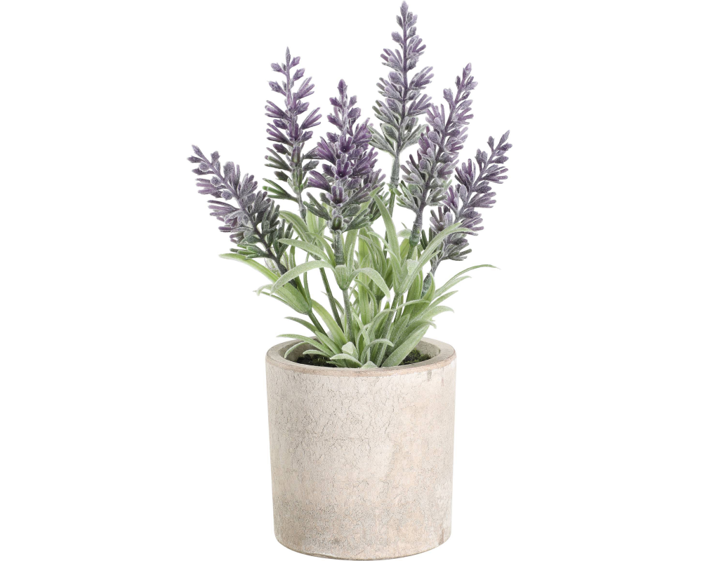 EGLO Kunstpflanze 22cm 428031 grün, im Topf