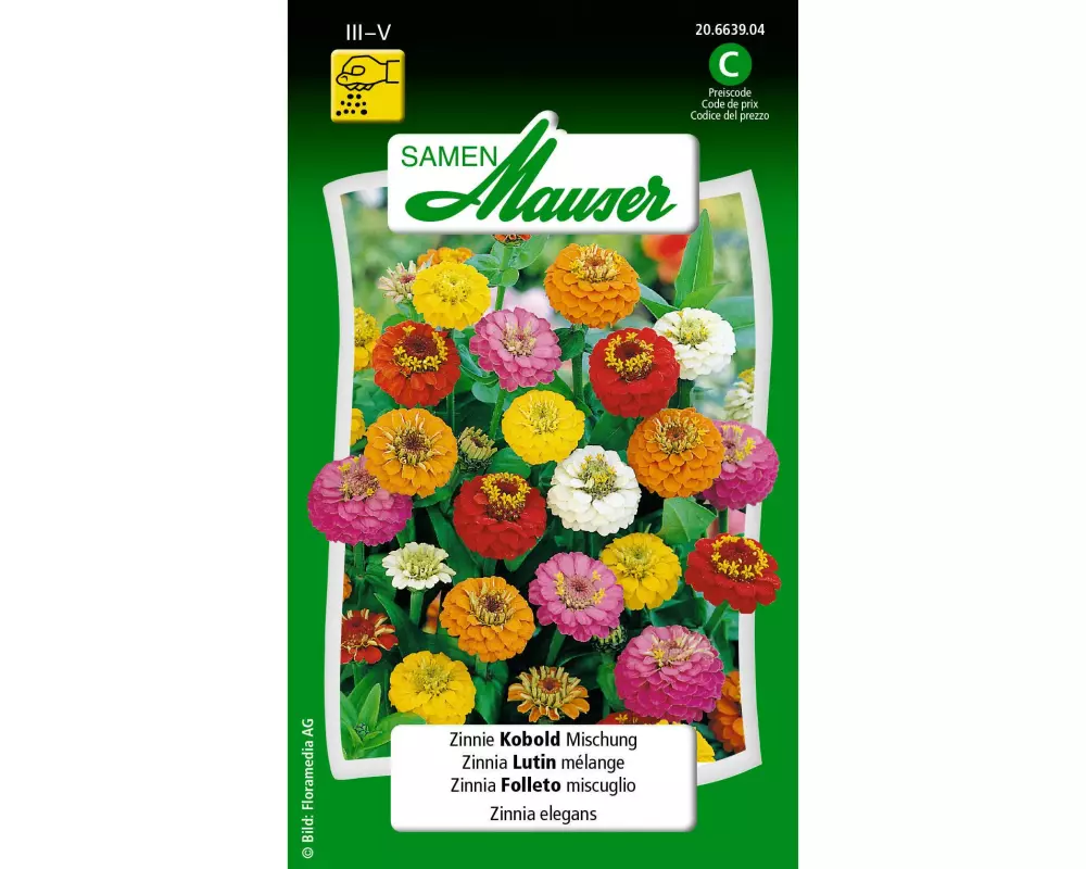 Samen Mauser Saatgut Zinnie Kobold Mischung