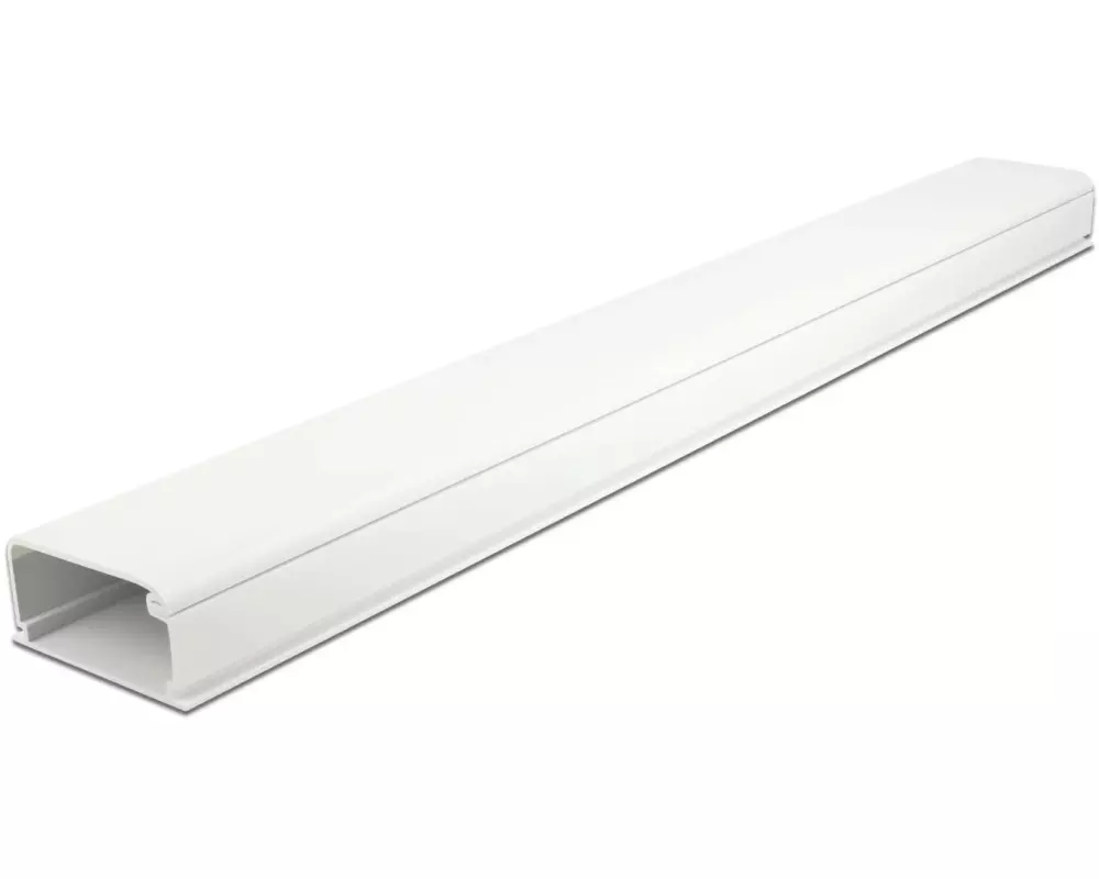 Delock Kabelkanal mit Deckel, selbstklebend 1 m x 57 mm Weiss