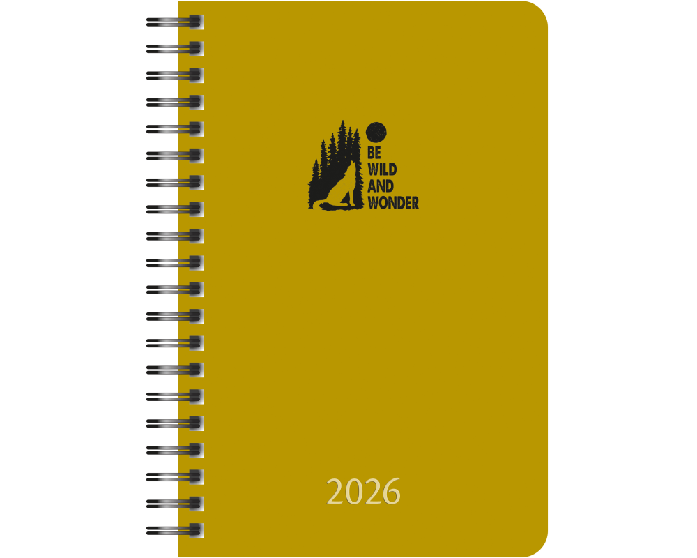 AURORA Agenda Adventure Daily 2026 3200W 1T/1S ass. ML 14x21cm