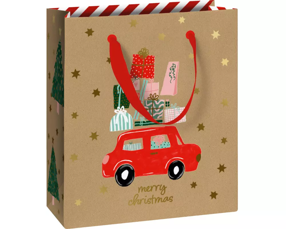 Stewo Geschenktasche Anette, 180 x 210 x 80 mm, 6 Stück