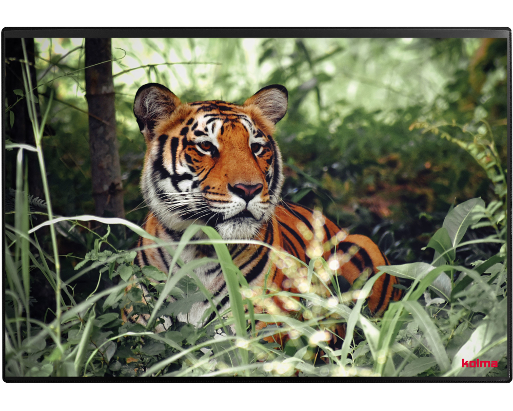 KOLMA Schreibunterlage 50x34cm 35.573.20 Tiger