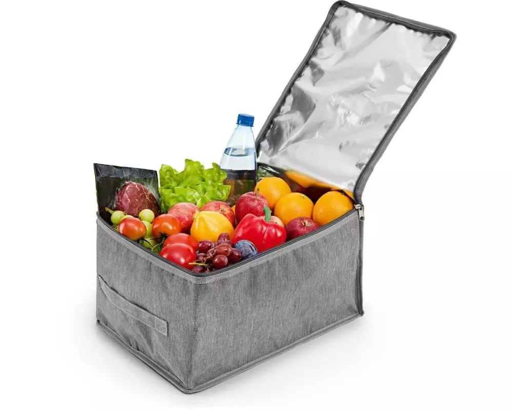 EASYmaxx Kühltasche 21 l grau