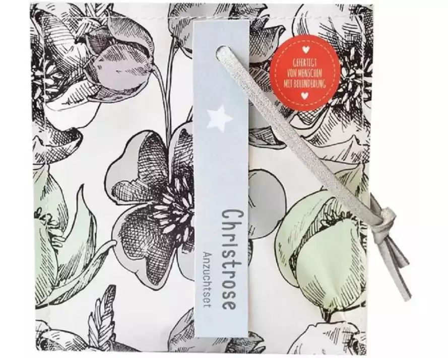 Wunderle Kleiner Weihnachtsgruss mit Christrosen Saatgut