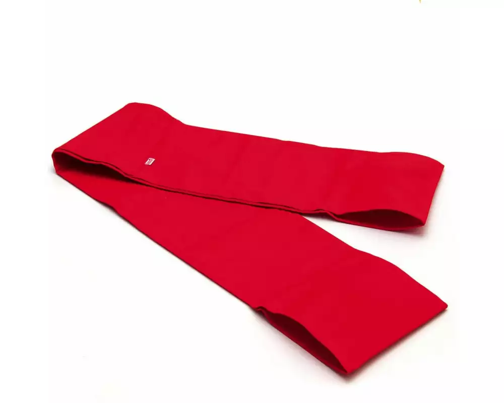 SISSEL Pilates Band Rot