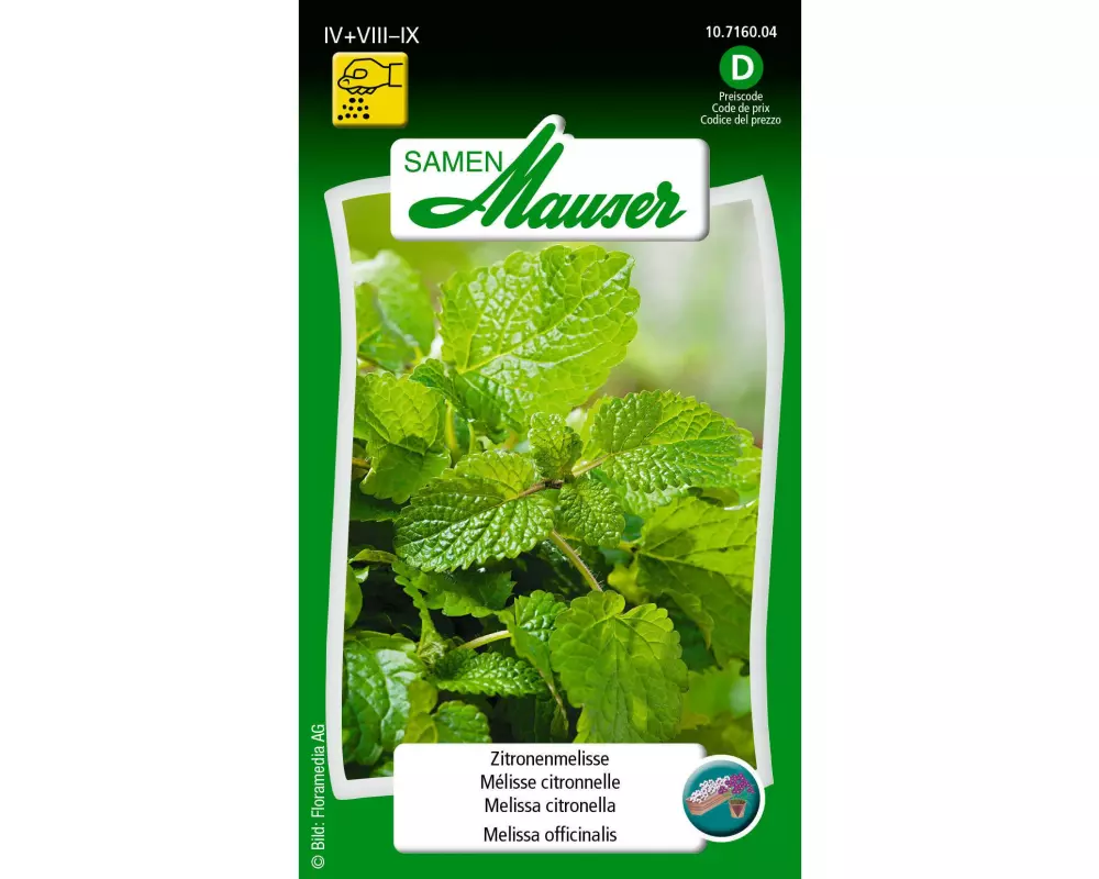 Samen Mauser Samen Zitronenmelisse