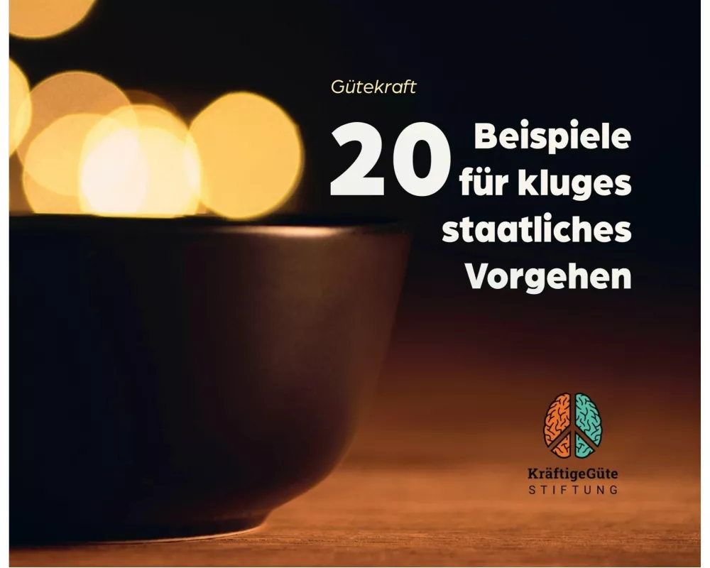 20 Beispiele für kluges staatliches Vorgehen