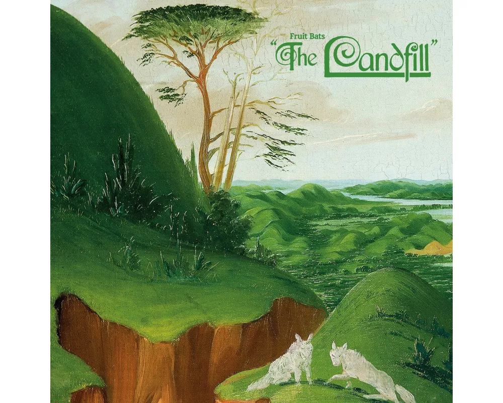 the landfill