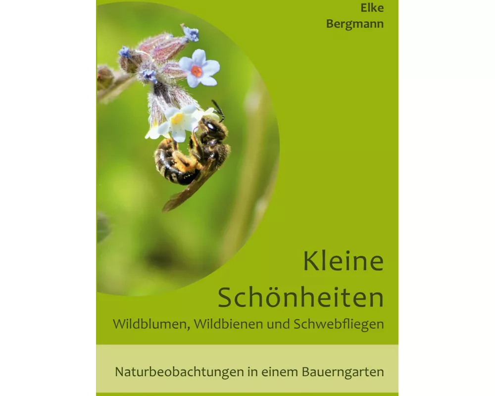 Kleine Schönheiten - Wildblumen, Wildbienen und Schwebfliegen