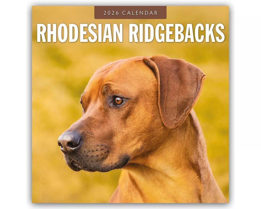 Rhodesian Ridgebacks 2026 Square Wall Calendar