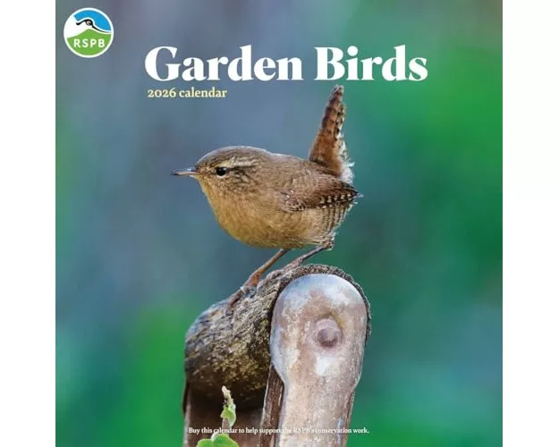 Rspb Garden Birds Square Wall Calendar 2