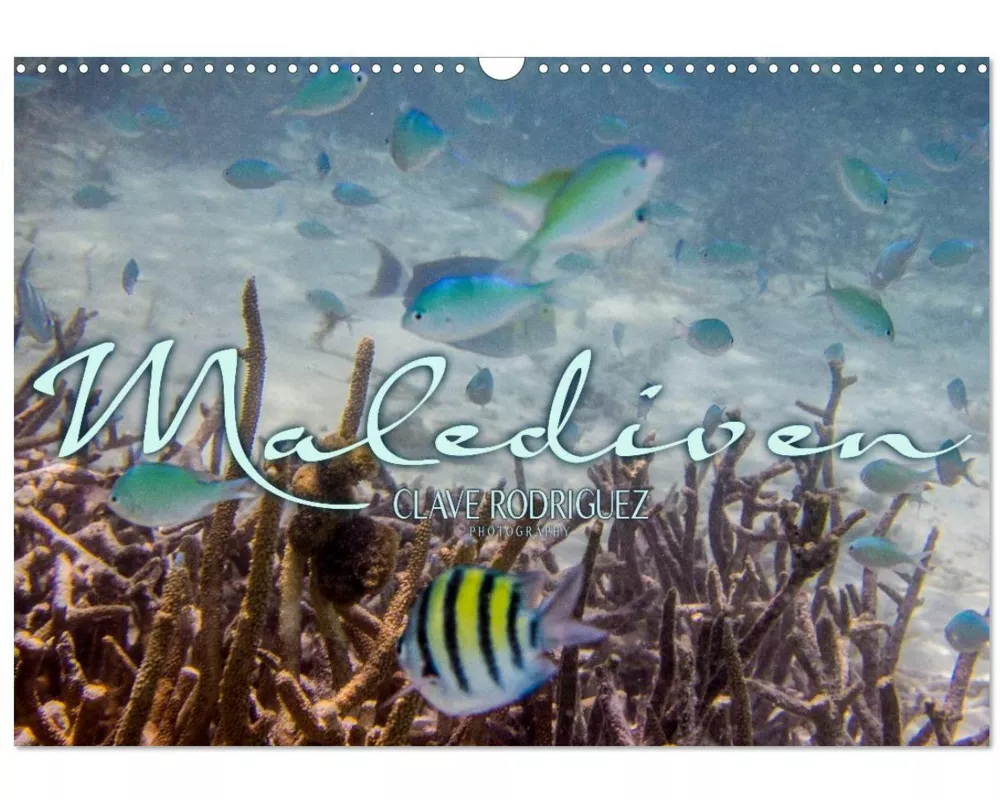 Unterwasserwelt der Malediven III (Wandkalender 2026 DIN A3 quer), CALVENDO Monatskalender