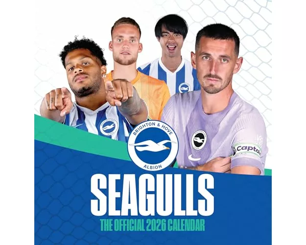 The Official Seagulls Desk Calendar 2026
