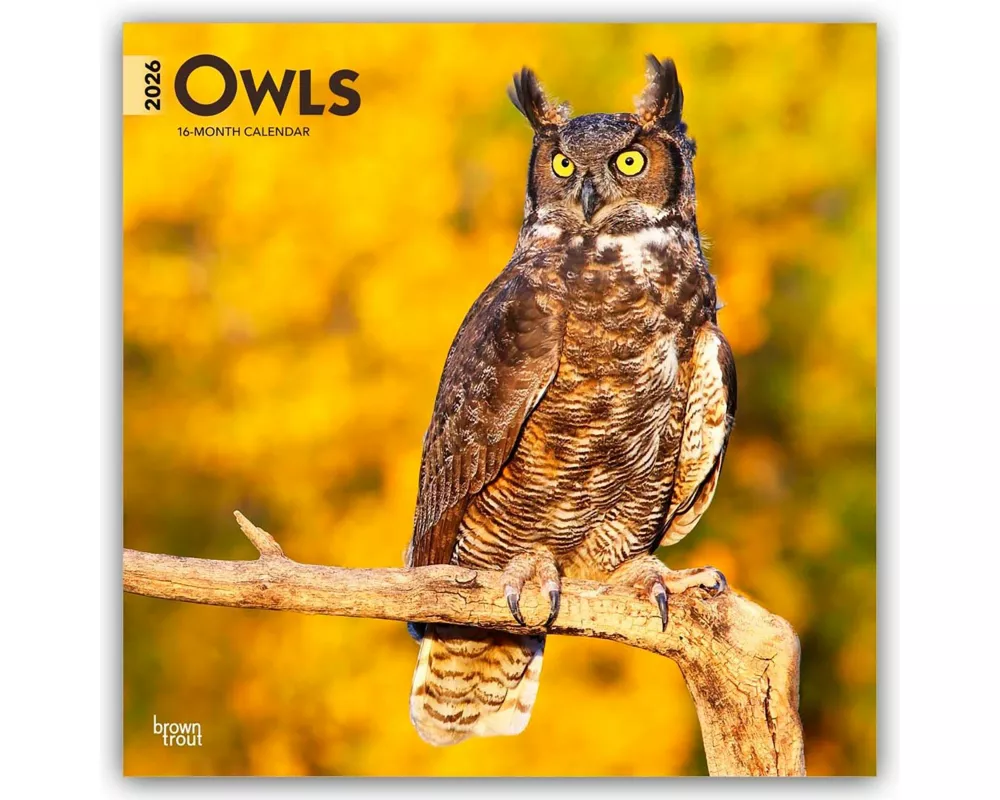 Owls 2026 12 X 24 Inch (Hanging) Monthly Square Wall Calendar Plastic-Free