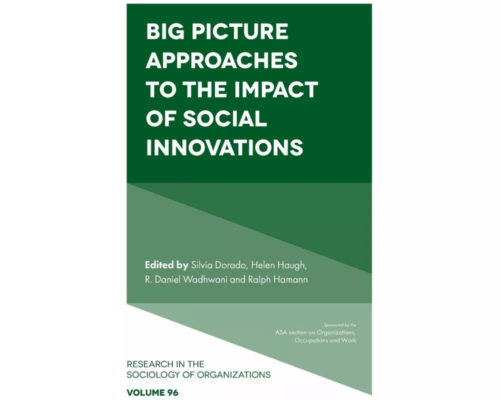 Big Picture Approaches to the Impact of Social Innovations
