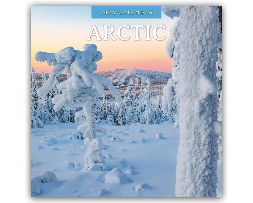 Arctic 2026 Square Wall Calendar