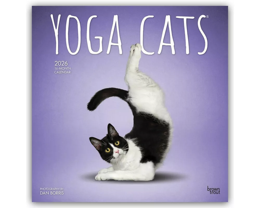 Yoga Cats Official 2026 12 X 24 Inch (Hanging) Monthly Square Wall Calendar Plastic-Free
