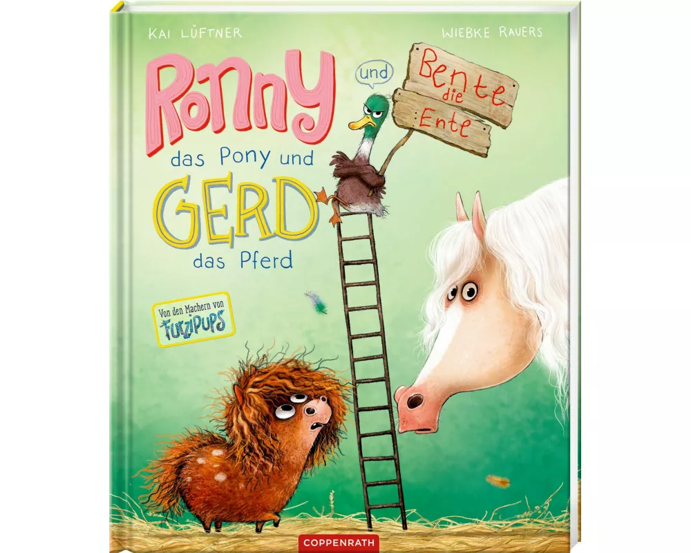 Ronny, das Pony, (Bd. 2)
