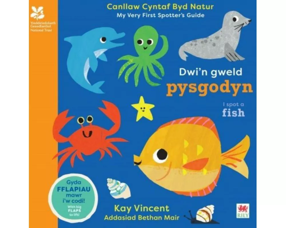 Dwi'n Gweld Pysgodyn / I Spot a Fish