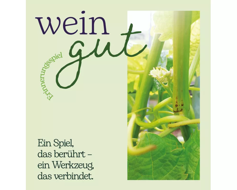 wein gut Erinnerungspiel