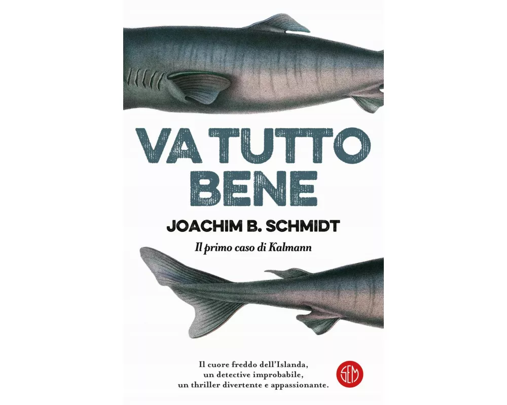 Va tutto bene. Il primo caso di Kalmann