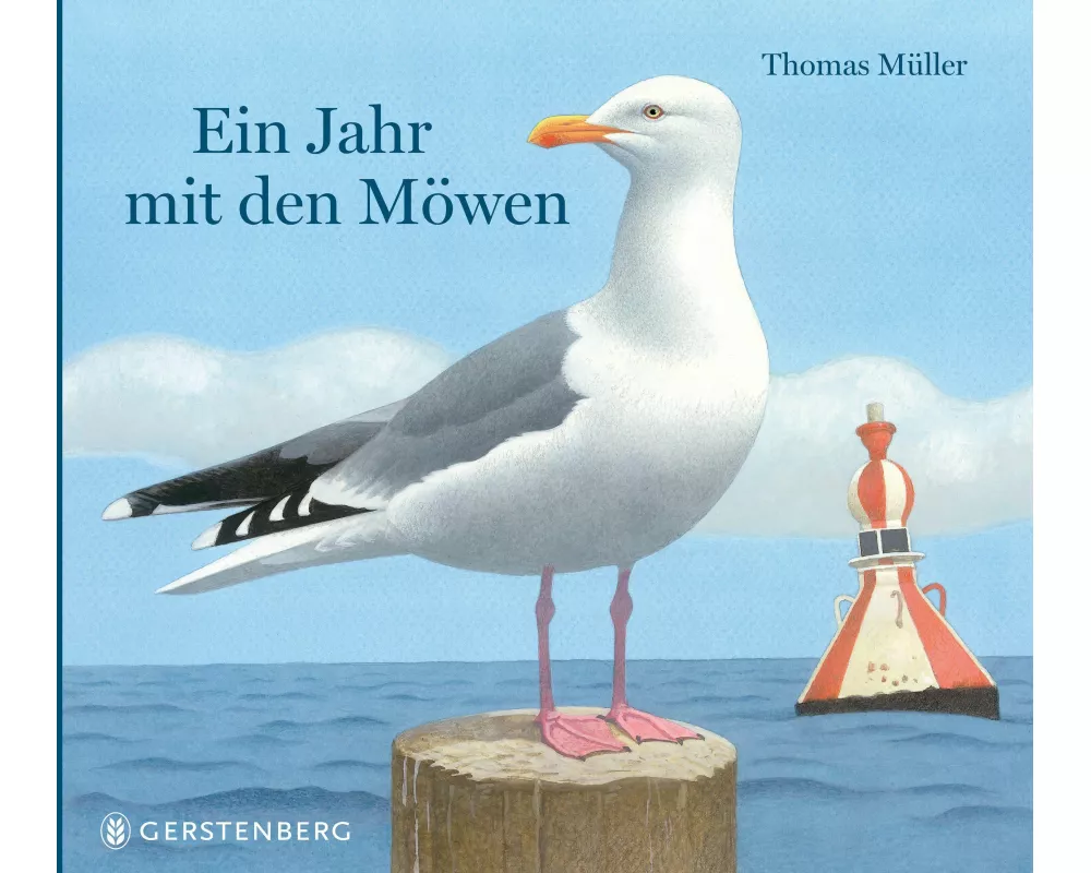 Ein Jahr mit den Möwen