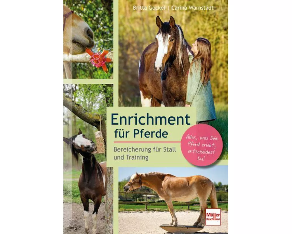 Enrichment für Pferde