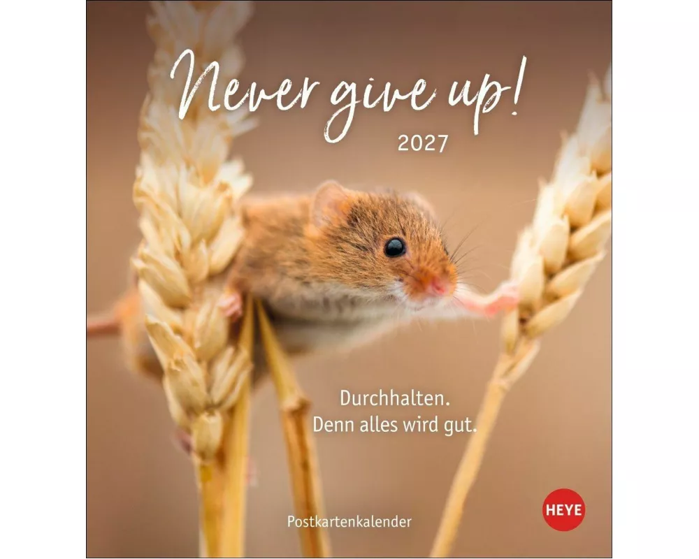 Never give up! Postkartenkalender 2027 - Durchhalten. Denn alles wird gut