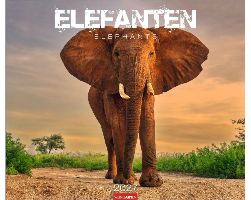 Elefanten Kalender 2027