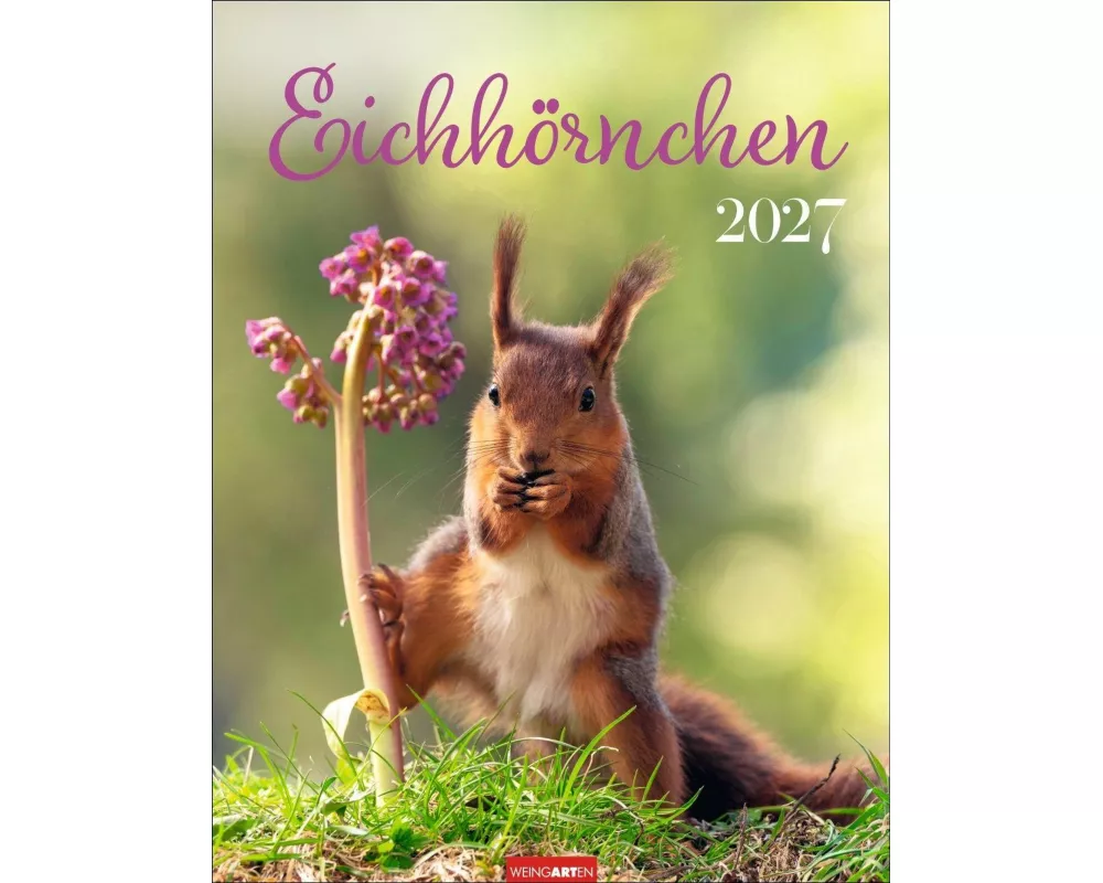 Eichhörnchen Kalender 2027