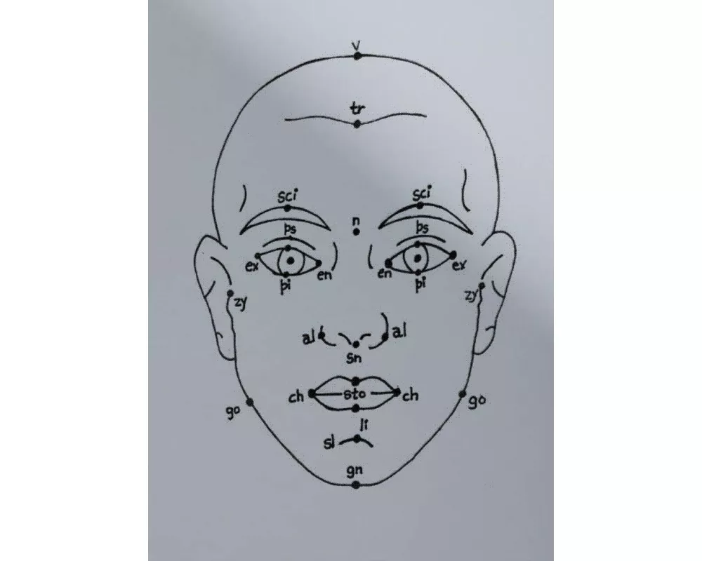 Megan Williams, Sheung Yiu: (Inter)Faces of Predictions