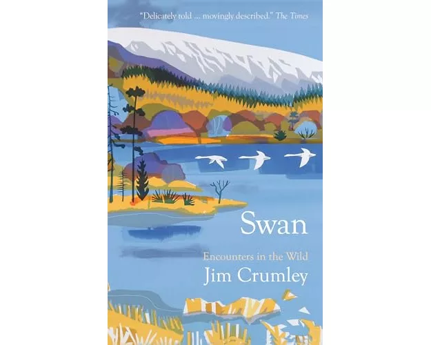 Swan