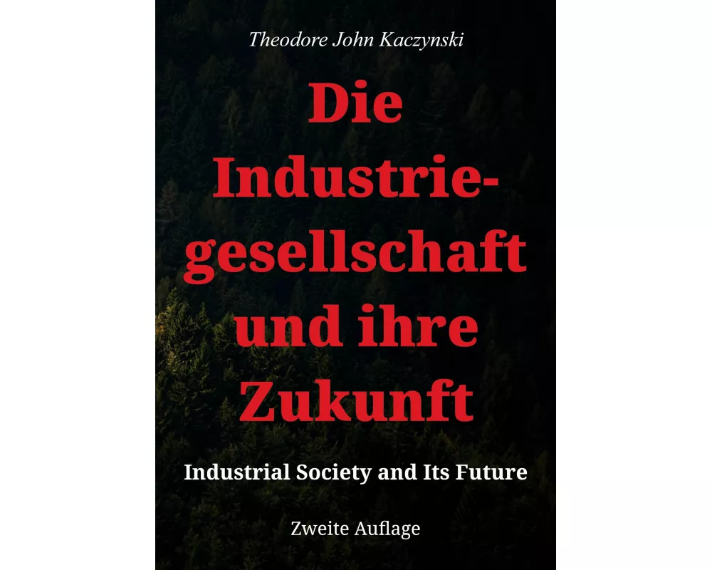Die Industriegesellschaft und ihre Zukunft