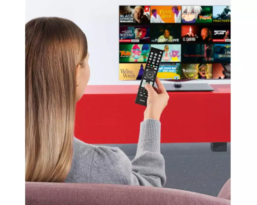 Hama Technics AG Universal-Fernbedienung IR lernfähig