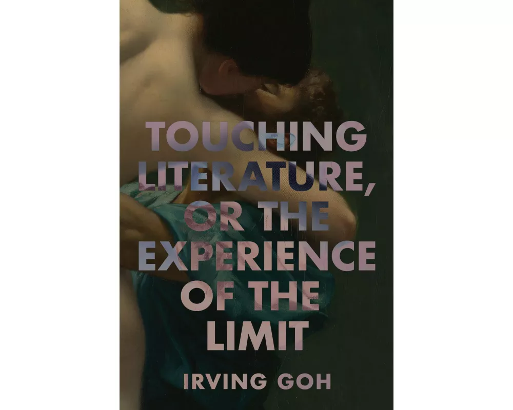 Touching Literature, or the Experience of the Limit