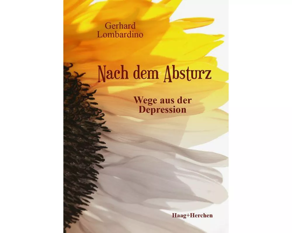 Nach dem Absturz